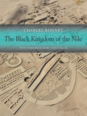 cover image of The Black Kingdom of the Nile